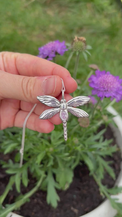 Zephyr the Dragonfly